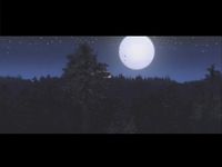 Kashyyyk