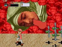 une photo d'Ã©cran de Pu.li.ru.la sur Arcade