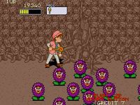 une photo d'Ã©cran de Pu.li.ru.la sur Arcade