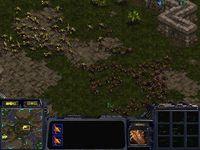 une photo d'Ã©cran de StarCraft sur PC